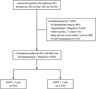 Benefit and Risk of Prolonged Dual Antiplatelet Therapy After Percutaneous Coronary Intervention With Drug-Eluting Stents in Patients With Elevated Lipoprotein(a) Concentrations